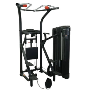 Inspire Commercial Dual Fitness Chin and Dip Assist - Dual Series - Inspire Fitness - 1