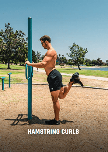 Monkey Feet Dumbbell Holder - (Single Unit)-Accessories-AnimalHouse-16