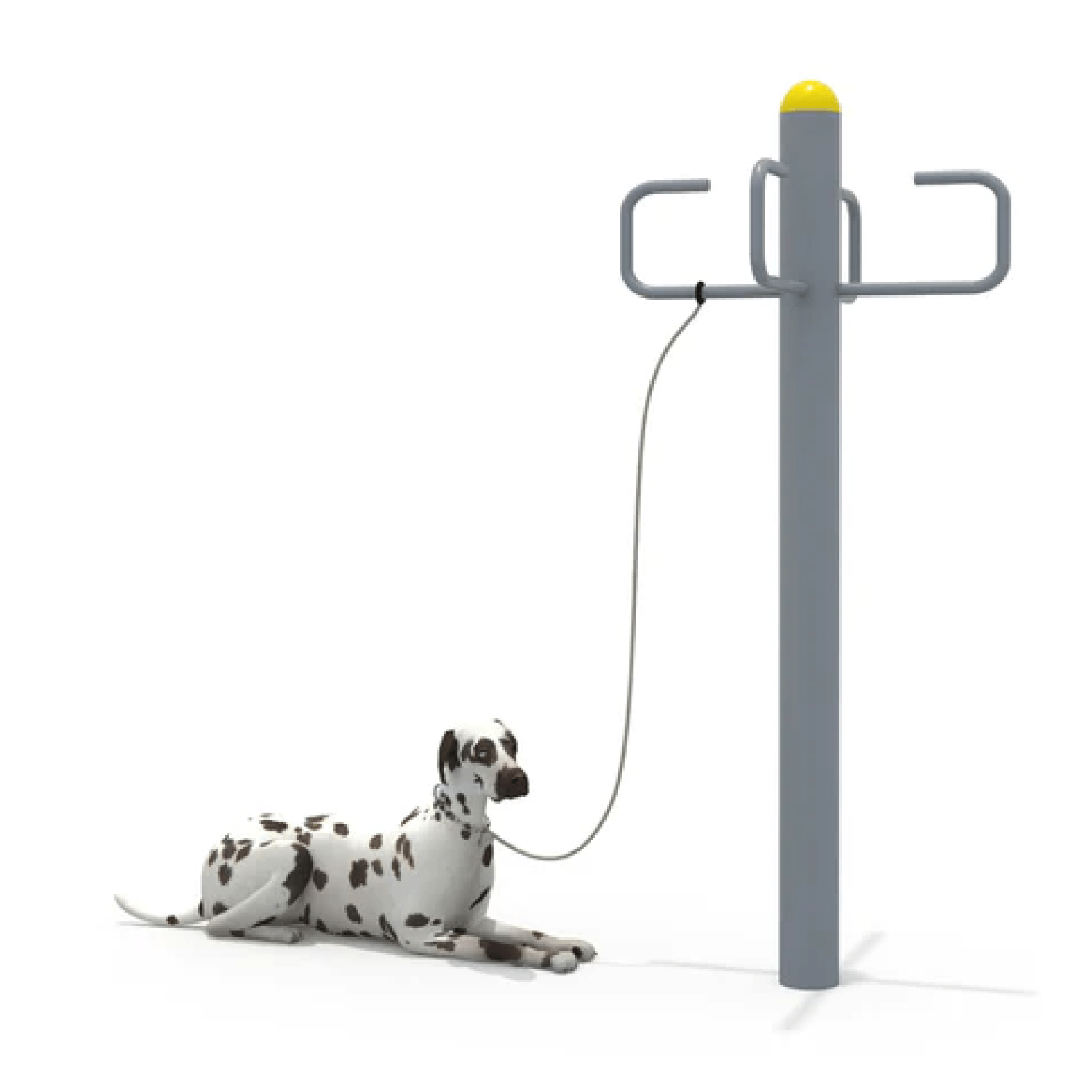 OUTDOOR Dog Leash Post FY-13602-Park Amenities-Flaman Family-1