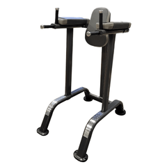 Progression 315 Vertical Knee Raise-Body Weight Training-Progression Fitness-1