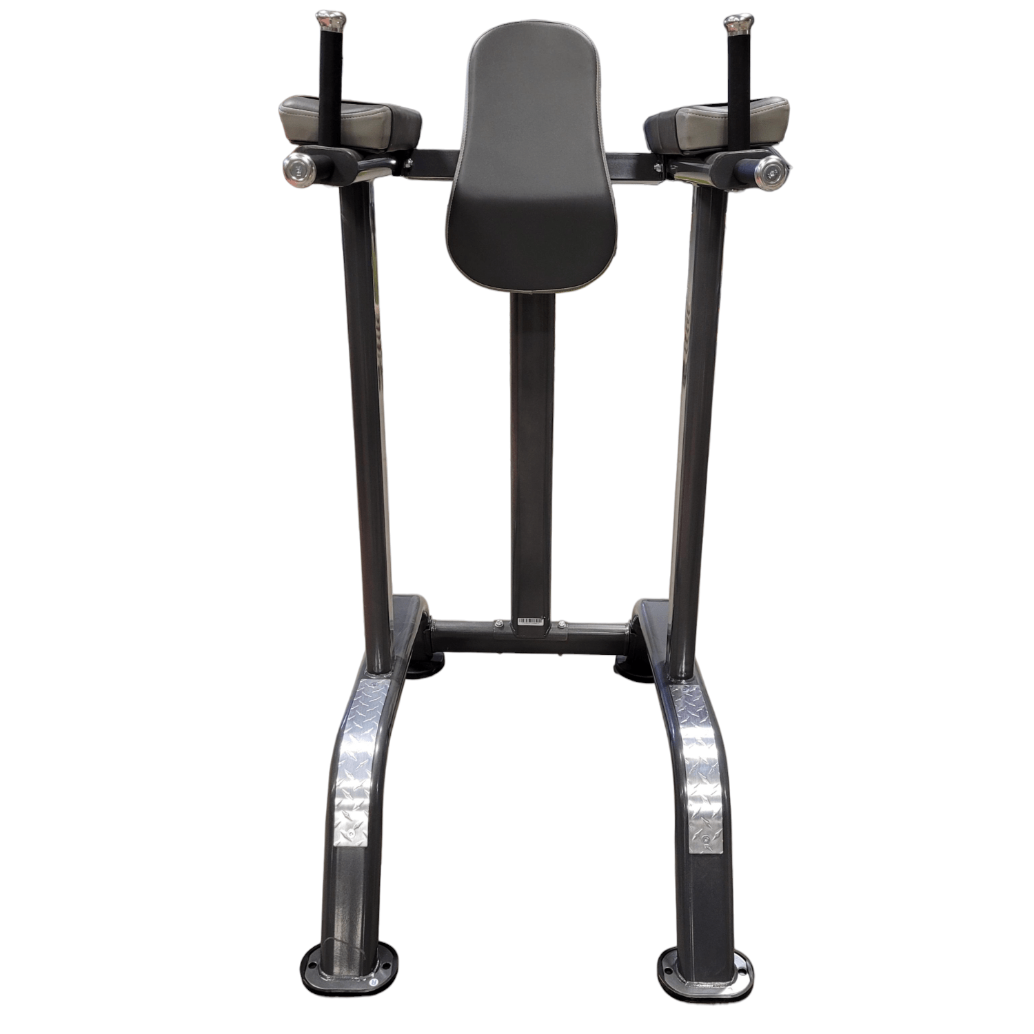 Progression 315 Vertical Knee Raise-Body Weight Training-Progression Fitness-2
