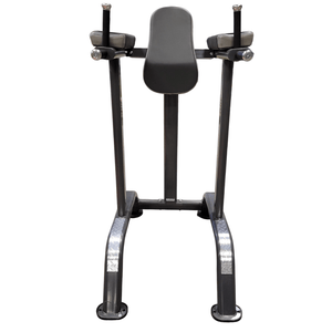 Progression 315 Vertical Knee Raise-Body Weight Training-Progression Fitness-2