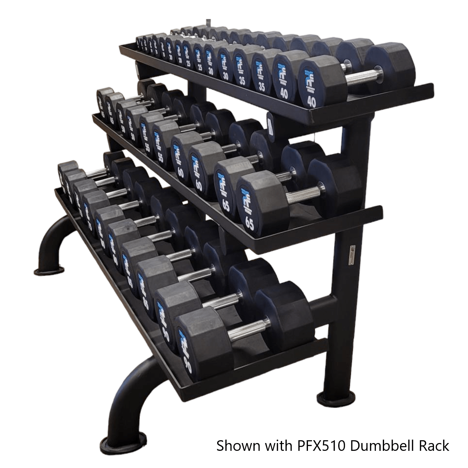 Progression Fitness Commercial Rubber Dumbbell - Single-Commercial Dumbbells-Flaman Fitness-6