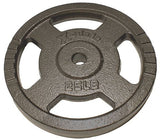 Progression Standard Hammertone Plate Weight - (1")-Standard Plate-Progression Fitness-2